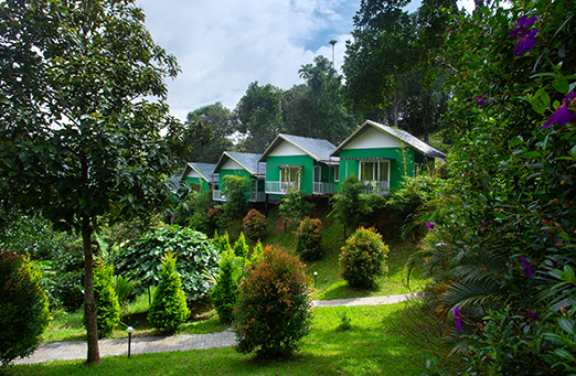 The Arbour Resort Munnar